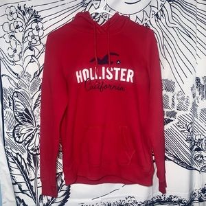 Hollister Hoodie